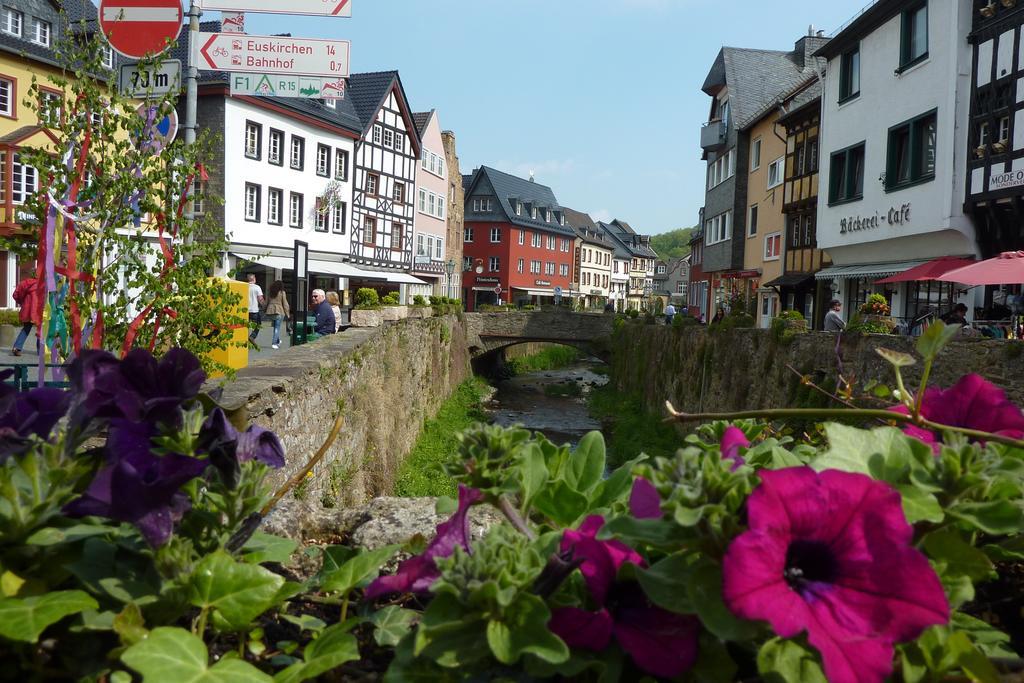 Ferienwohnung Orchidee Bad Muenstereifel Zimmer foto